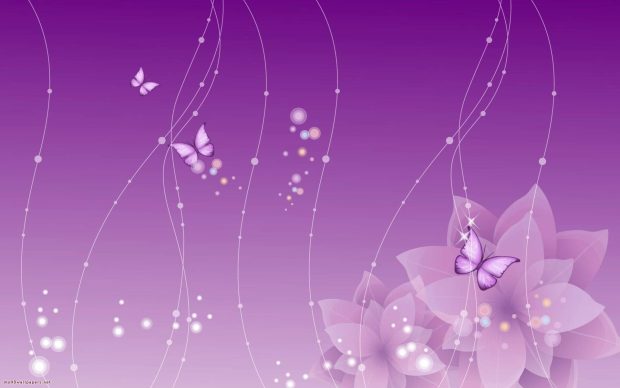 HD Wallpaper Cute Purple.