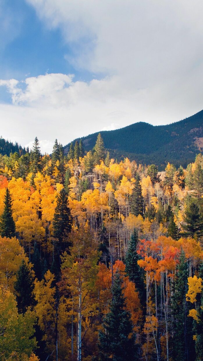 Fall Wallpaper for Android - PixelsTalk