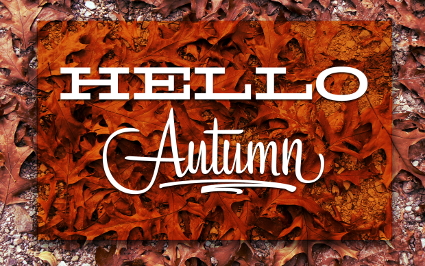 HD Wallpaper Hello Fall.