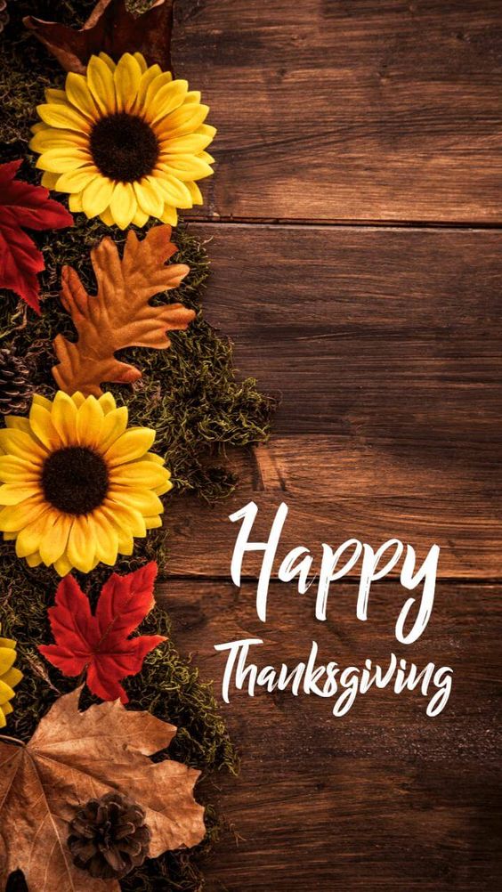 Thanksgiving fall HD phone wallpaper  Peakpx