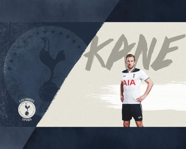 Harry Kane Tottenham Wallpaper High Quality  3.