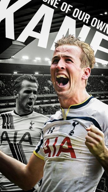 Harry Kane Tottenham Wallpaper iPhone 4.