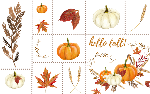 Hello Fall.