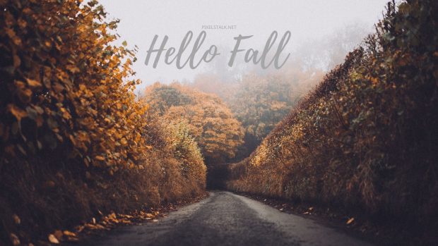 Hello Fall HD Wallpaper Free download.