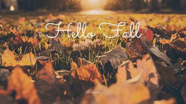 Hello Fall Wallpaper for PC.