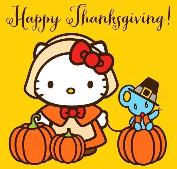 Hello Kitty Happy Thanksgiving   cartoons background.