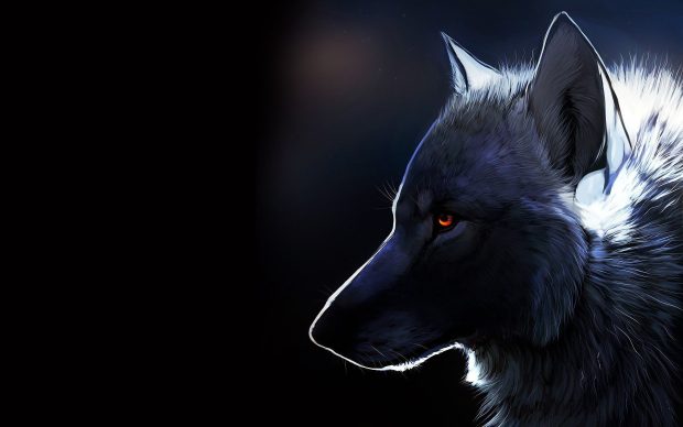 Hot Cool Wolf Background.