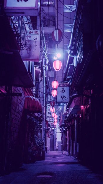 Hot Japan Aesthetic Phone Background.