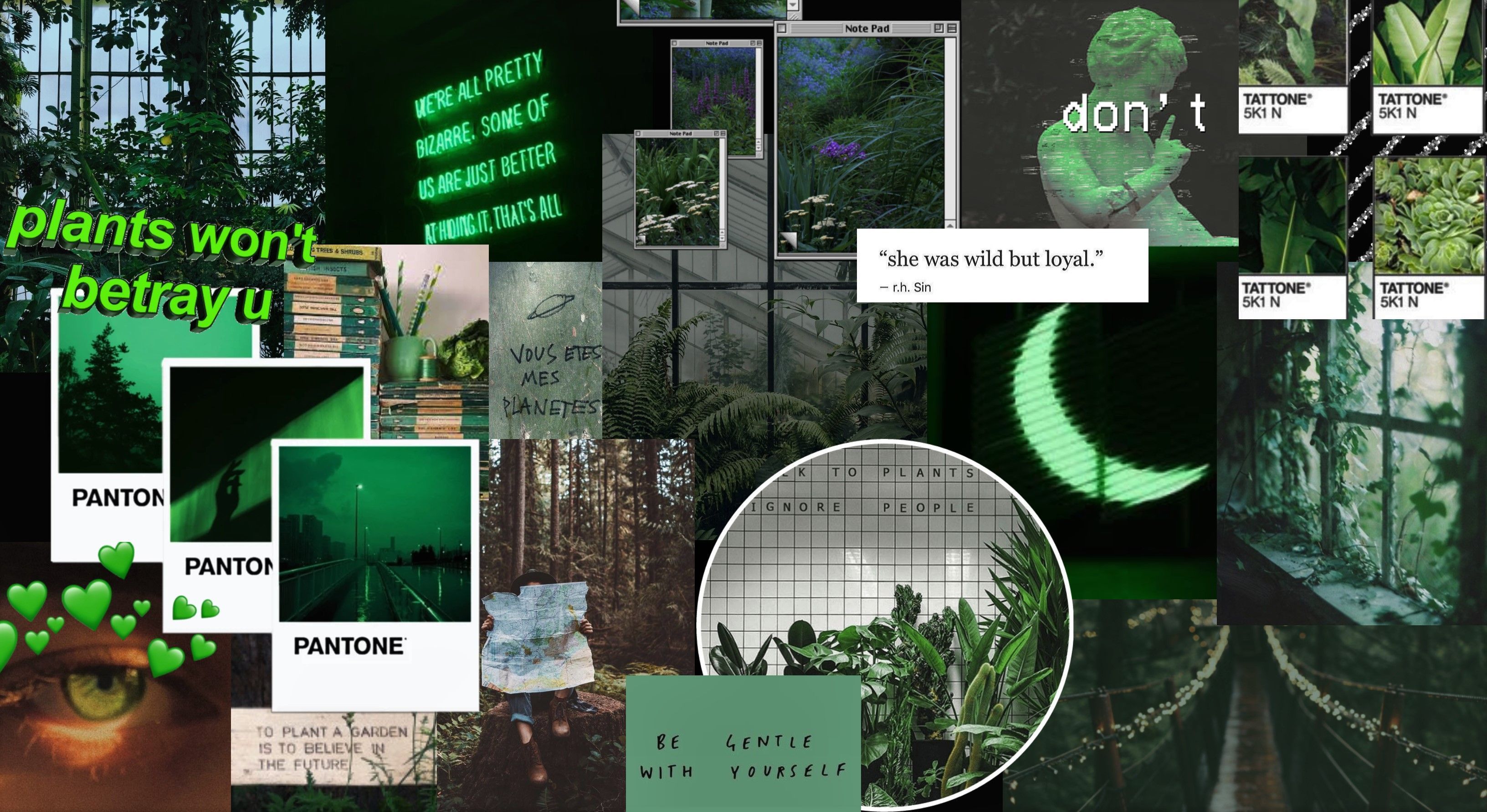 100000 Dark green wallpaper Vector Images  Depositphotos