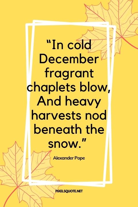 In cold December fragrant chaplets blow, And heavy harvests nod beneath the snow.