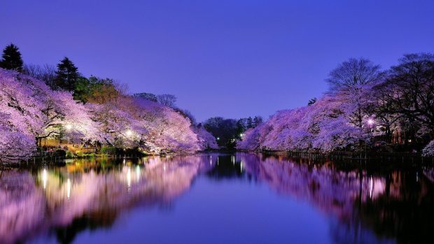 Japanese Aesthetic Desktop Background HD Backgrounds.