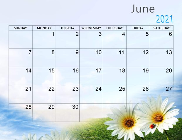 June 2021 Calendar Desktop Wallpapers.