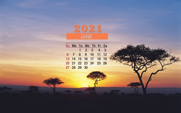 June 2021 Calendar Safari Wallpapers.