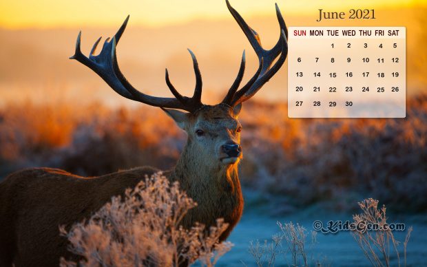June 2021 Calendar Wallpapers.