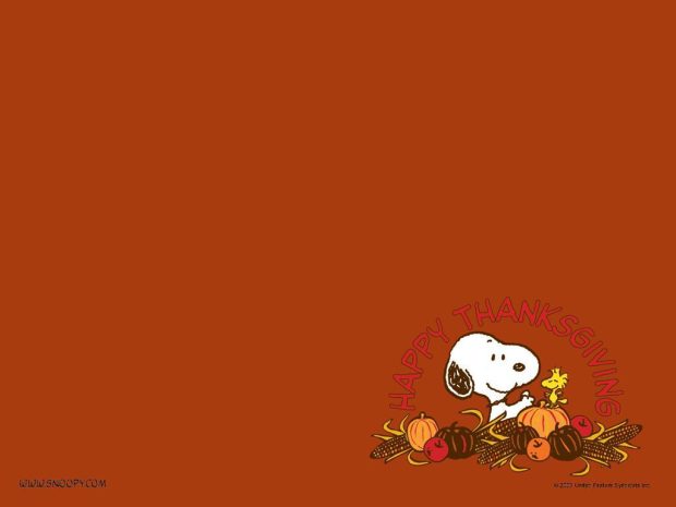 Kawaii Wallpaper for Thanksgiving (2).