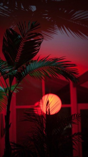 Light Red Aesthetic iPhone Background.