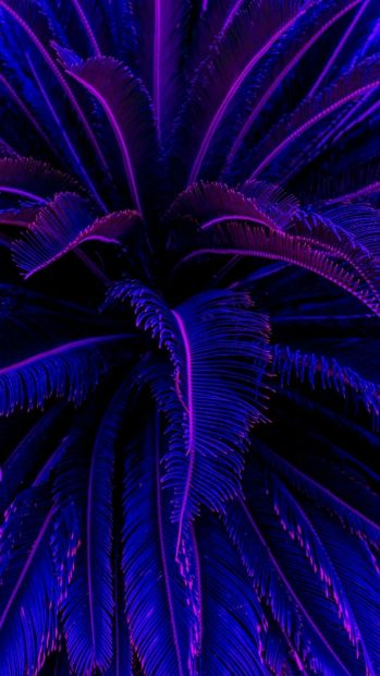Neon Blue Aesthetic Wallpaper for Android.