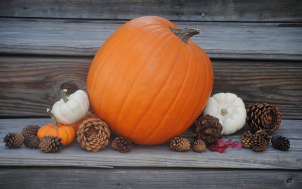 New Fall Pumpkin Background.