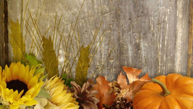 New Rustic Fall Background.