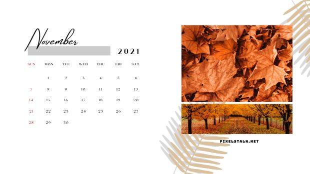 November 2021 Calendar Printable Wallpaper.