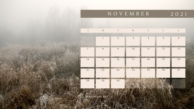 November 2021 Year Calendar for Desktop Background.