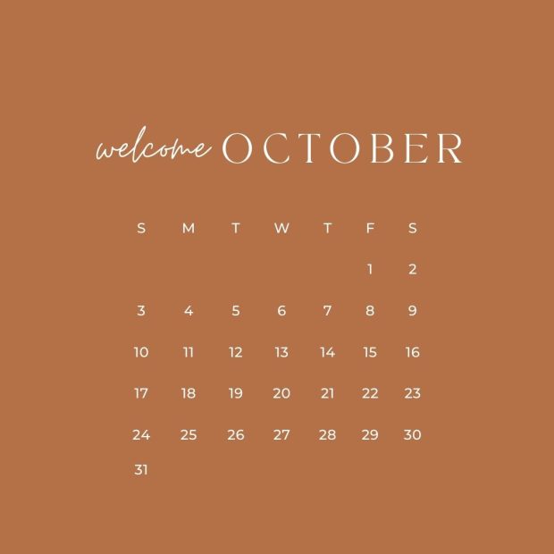 Orange Minimal 2021 Calendar October Instagram Post .
