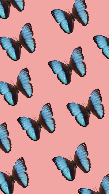 Original Aesthetic Butterfly Wallpaper.