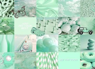 Pastel Green Aesthetic Wallpaper HD.