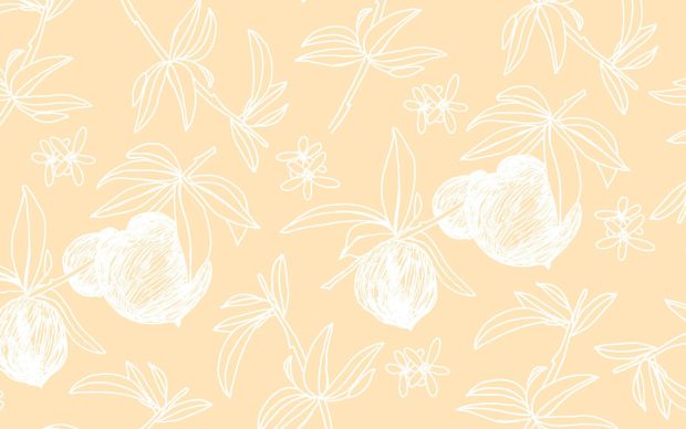 Peach Aesthetic Backgrounds Free Download.