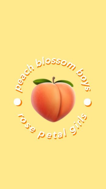 Peach Aesthetic Backgrounds for iPhone.