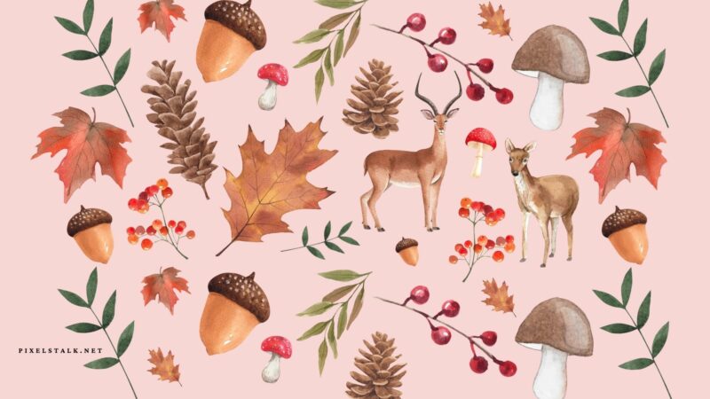 Pink Fall HD Wallpapers - PixelsTalk