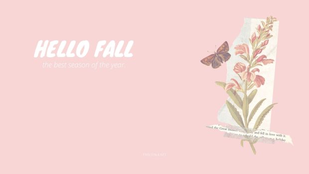 Pink Fall Wallpaper HD.