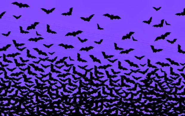 Purple Halloween Desktop Background HD Backgrounds.