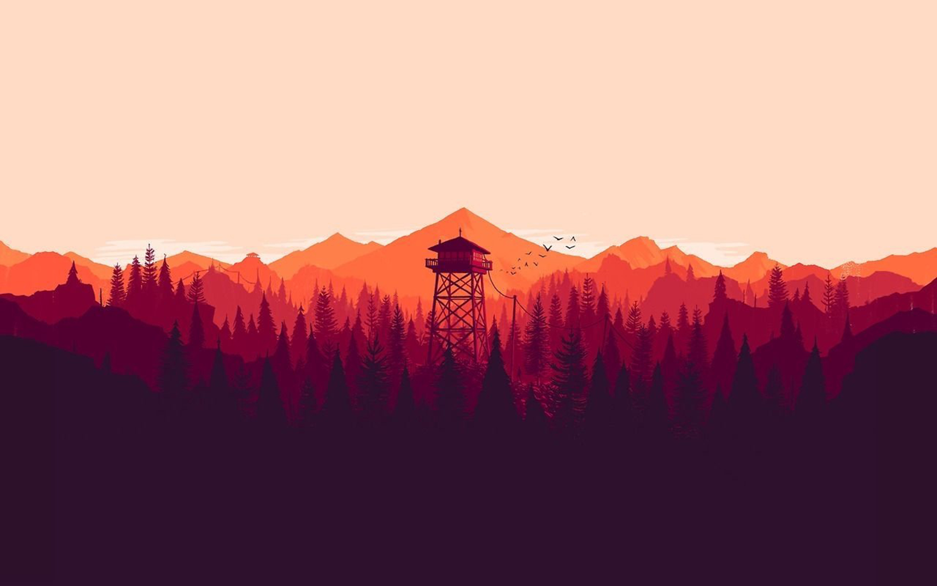 Beautiful wallpaper  aesthetic forest night