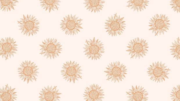 Rose Gold Aesthetic Backgrounds.