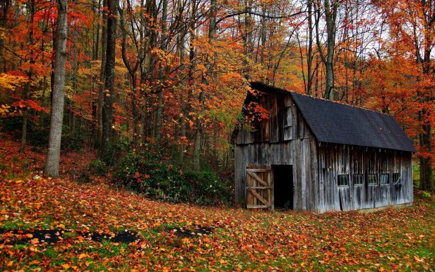 Rustic Fall Desktop Background.