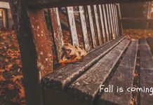 Rustic Fall Wallpaper Free Download.