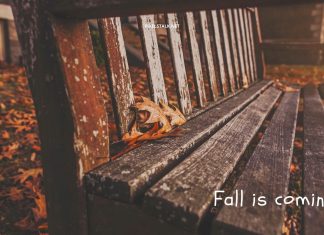 Rustic Fall Wallpaper Free Download.