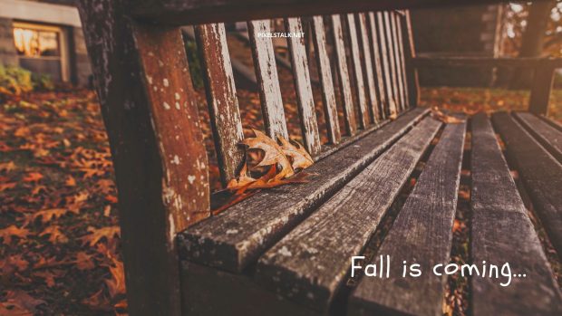 Rustic Fall Wallpaper Free Download.