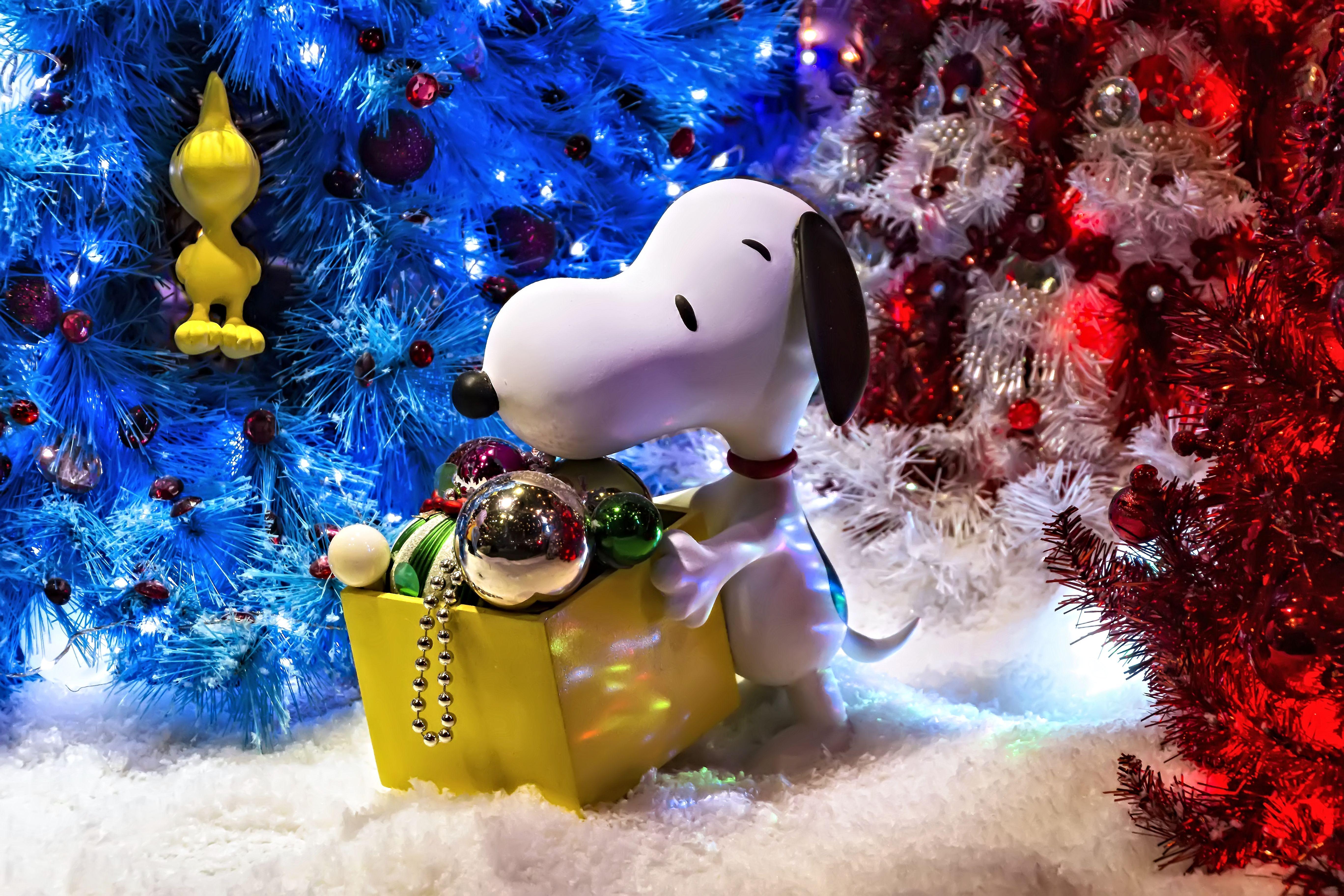 Download Snoopy Christmas Outdoor Snow Wallpaper  Wallpaperscom