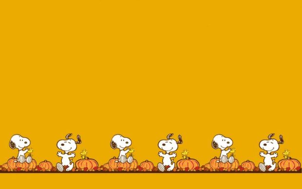 Snoopy Halloween Wallpaper for Windows.