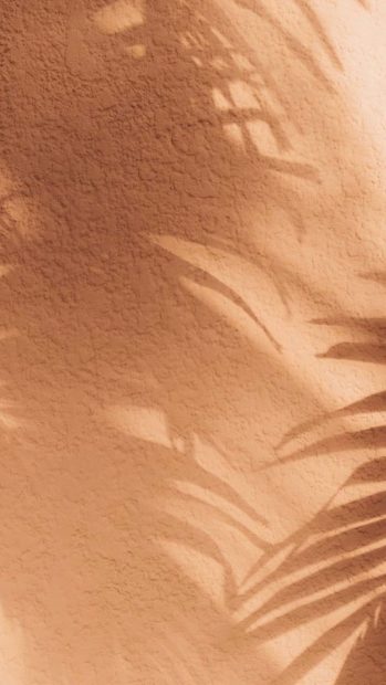 Tan Aesthetic Wallpaper HD.