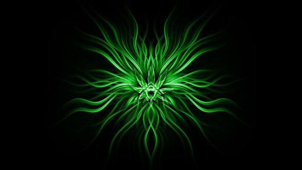 The best Cool Green Background.