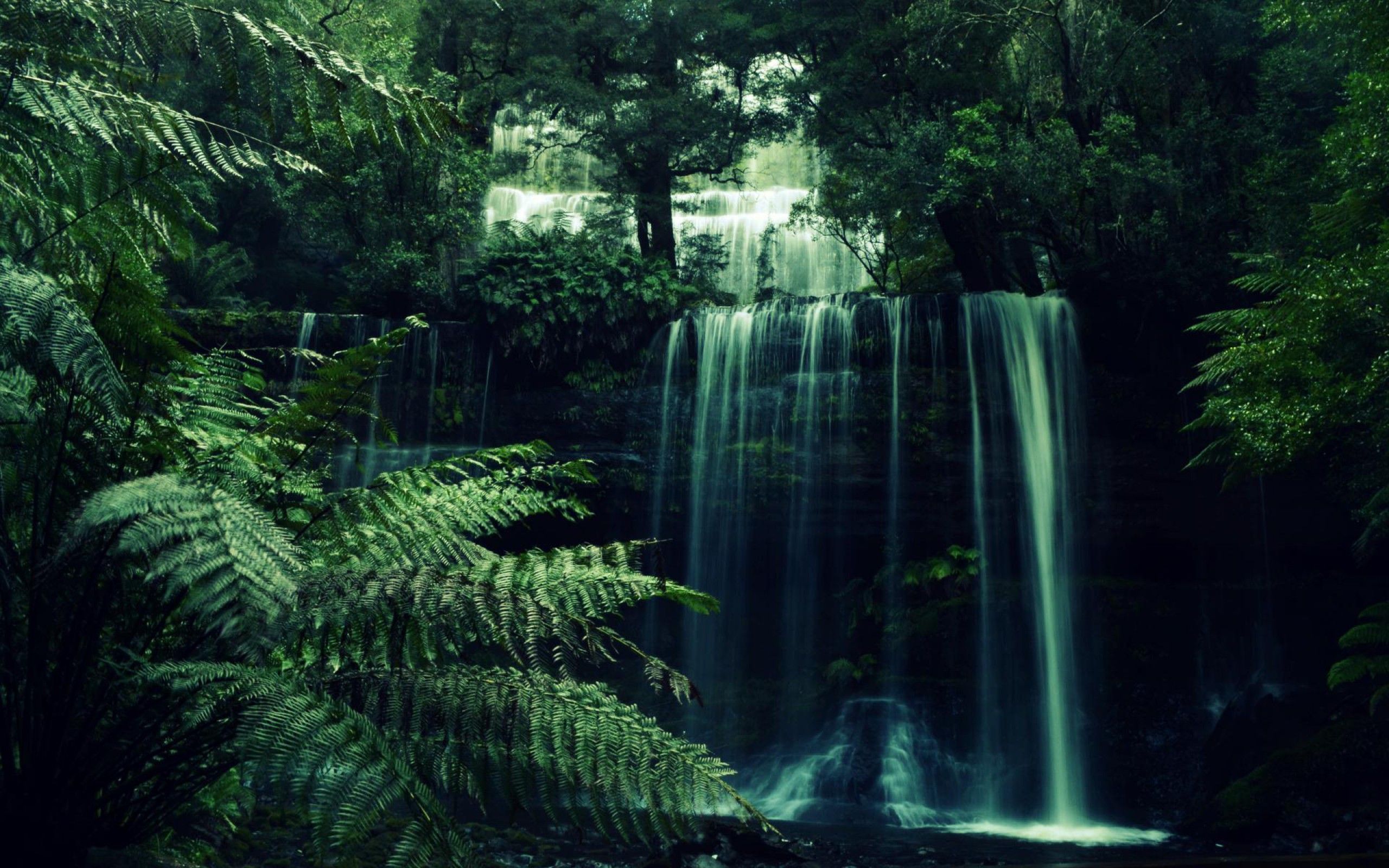 Green Aesthetic Backgrounds HD Free download  PixelsTalkNet