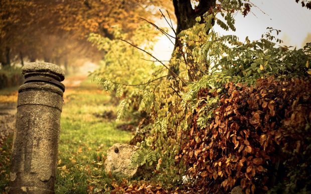 Vintage Fall Image.