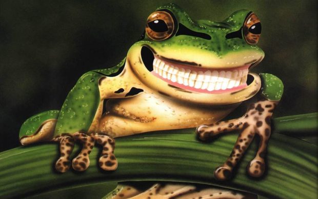 Wallpaper Cute Frogs.