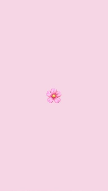 Wallpaper Cute VSCO.