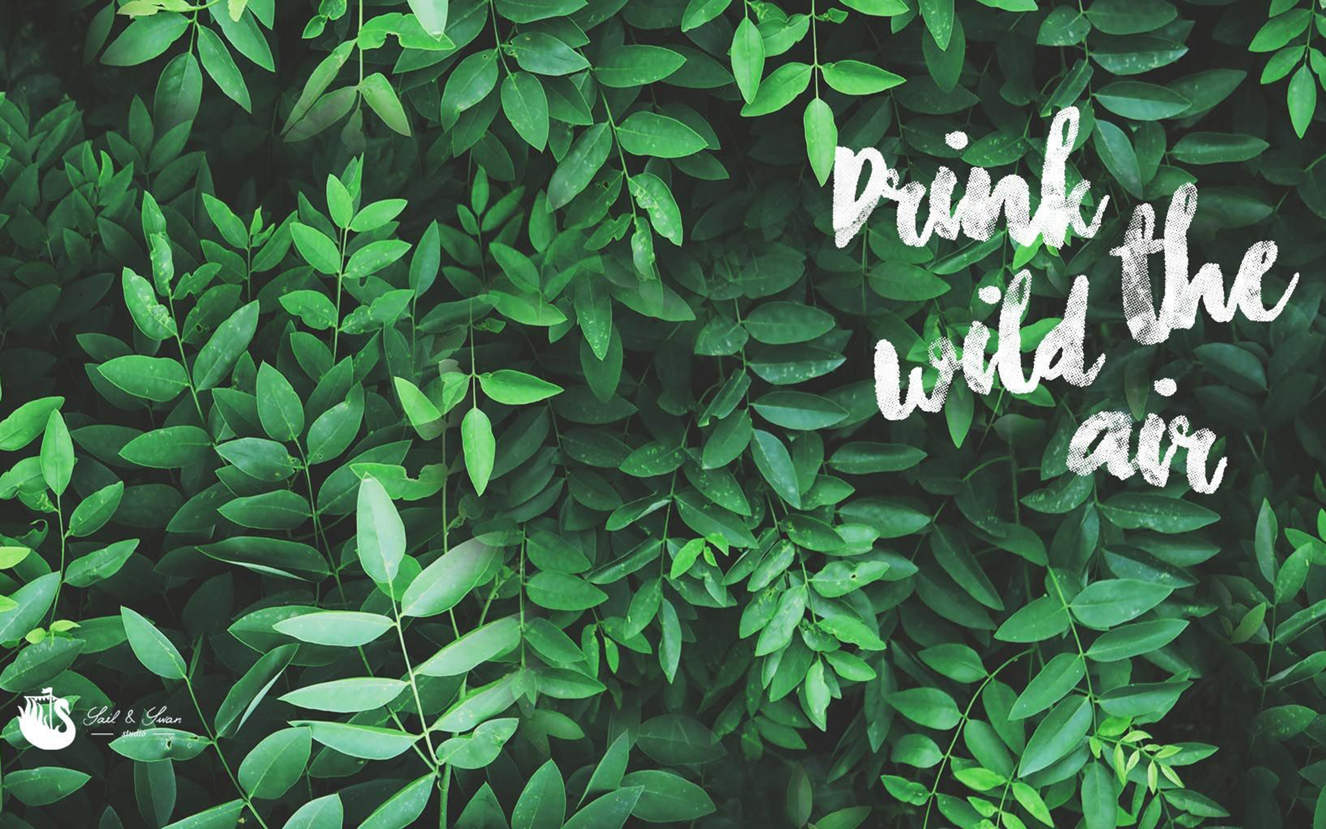 Green aesthetic wallpaper by mara20026 on DeviantArt