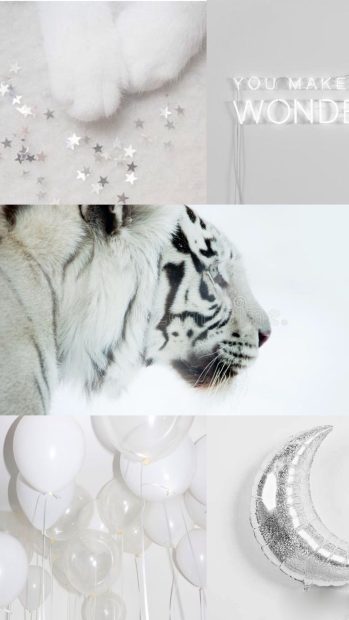 White Aesthetic Backgrounds High Resolution.