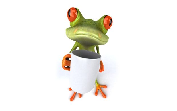 White Cute Frogs Wallpaper HD.